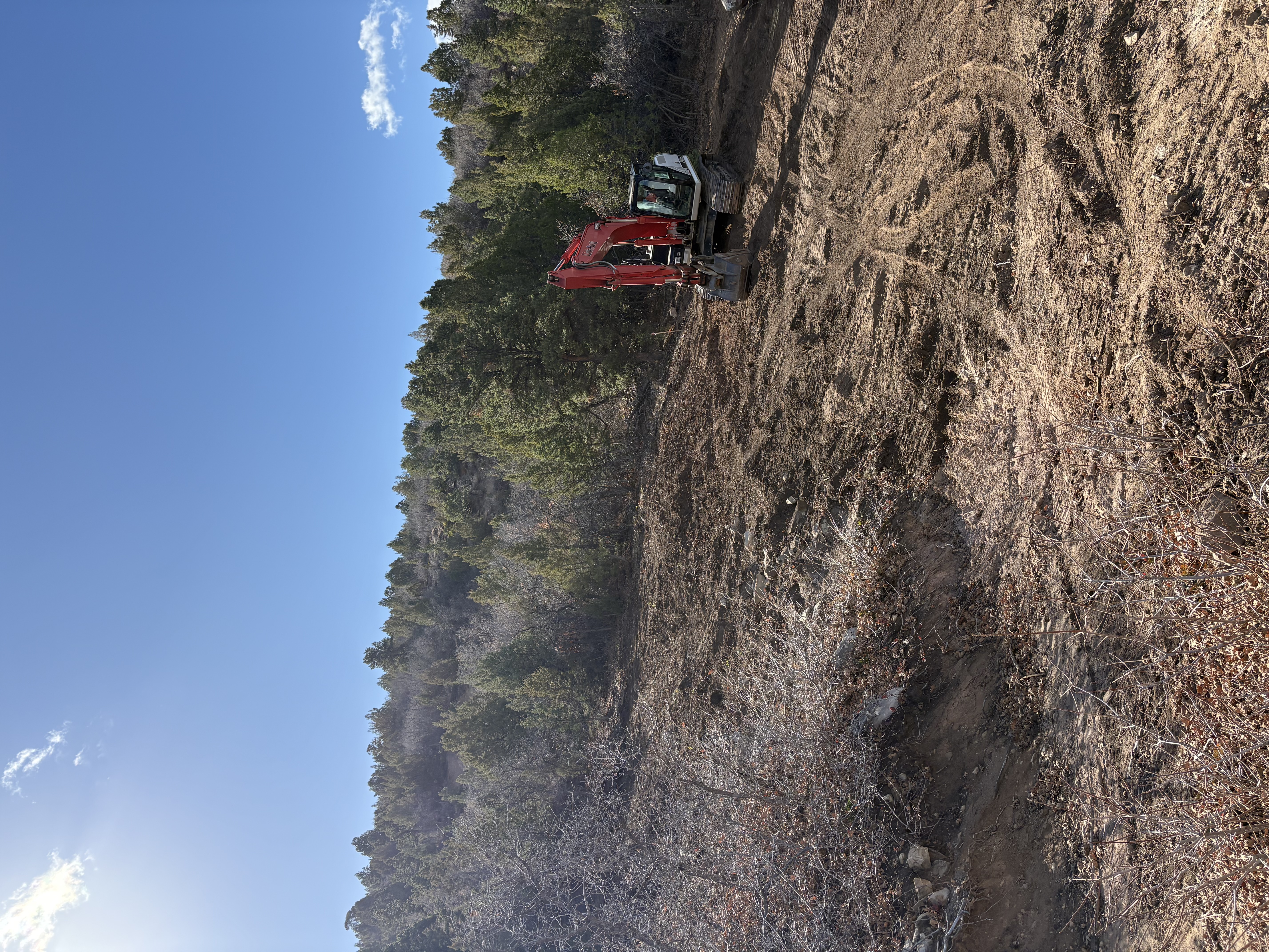 Water Wise Drought Resistant Landscaping with Native Plants